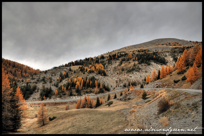 DSC 6666 7 8